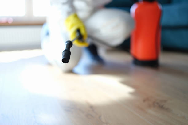Best Mold Documentation for Insurance Claims  in Baudette, MN