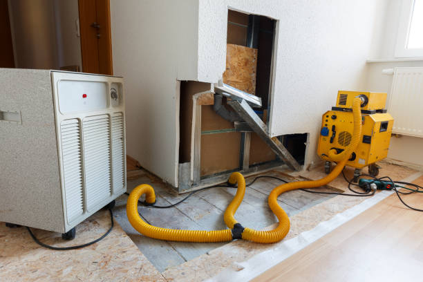 Best Asbestos and Lead Testing During Mold Inspection  in Baudette, MN